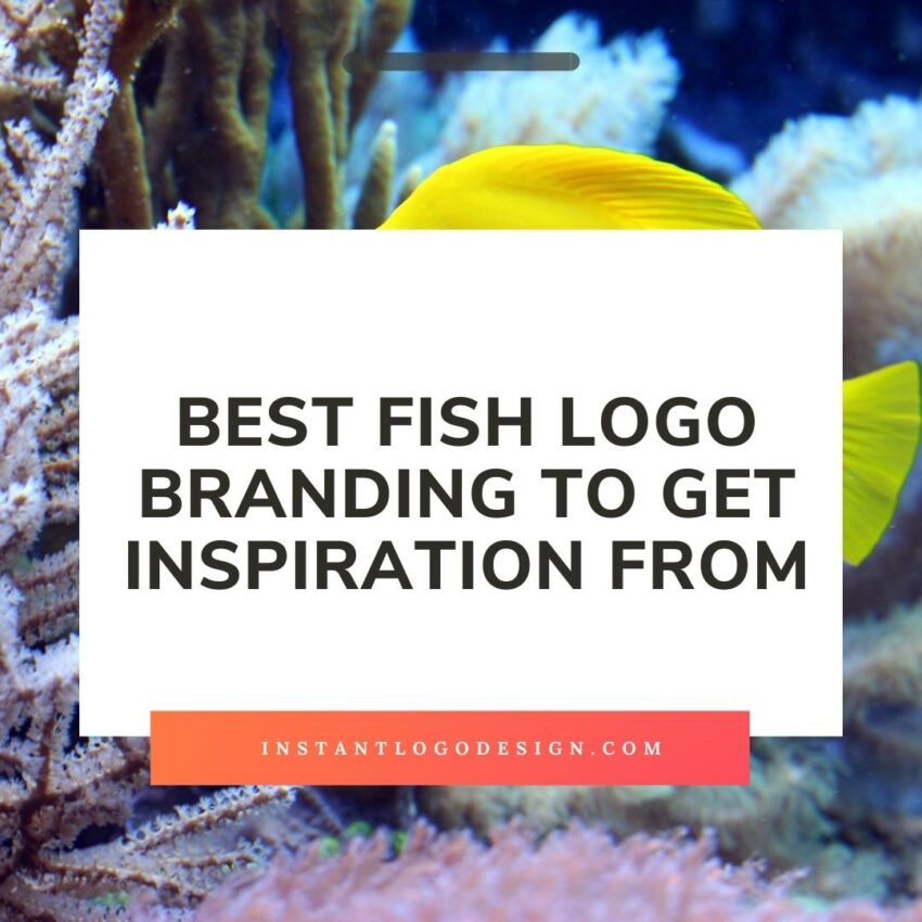 Best Fish Logo Branding - Featured Image