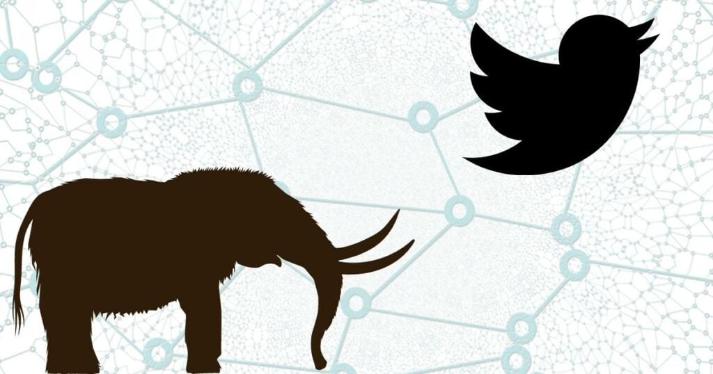 An image that shows elephant for Matsodon logo on the lower left side and a bird representing twitter on the upper right side
