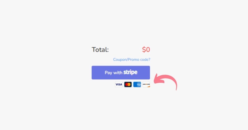 Various payment methods available on the Logomakerr website.