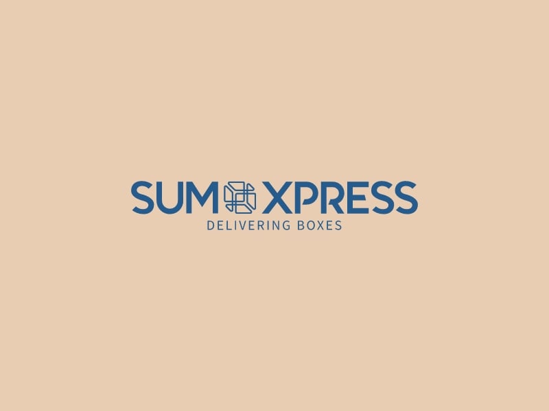 SUM XPRESS - delivering boxes